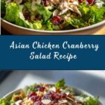 Asian Chicken Cranberry Salad Recipe