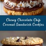 Chocolate Chip Coconut Sandwich Cookies Recipe