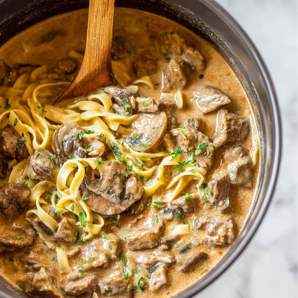 Slow Cooker Beef Stroganoff Soup Recipe - Recipe Image